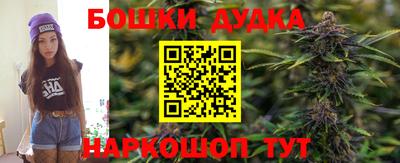 spice Пенза