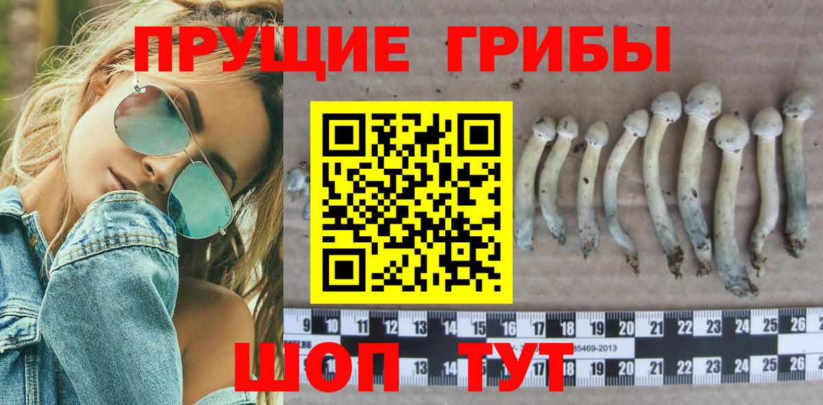 Галлюциногенные грибы Magic Shrooms Ревда